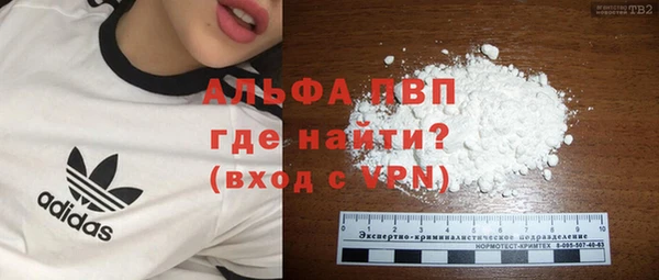 винт Горно-Алтайск