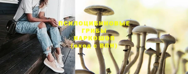 молекула духа Дмитров