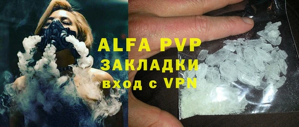 прущие грибы Чердынь