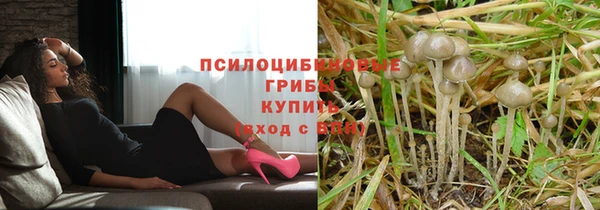 метадон Горнозаводск