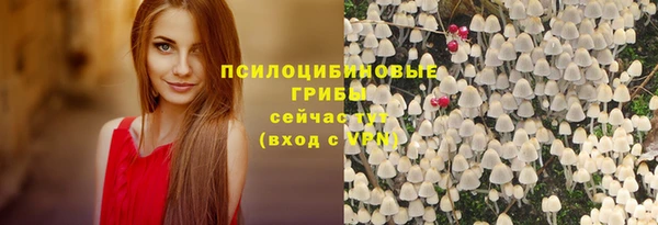 винт Горно-Алтайск