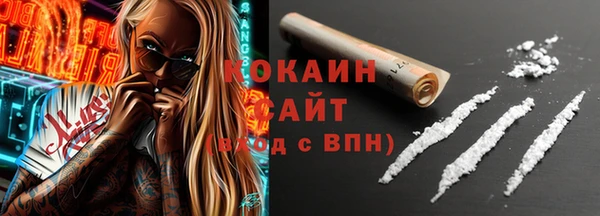 дмт Инсар