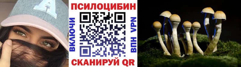 Псилоцибиновые грибы Psilocybe  Дорогобуж 